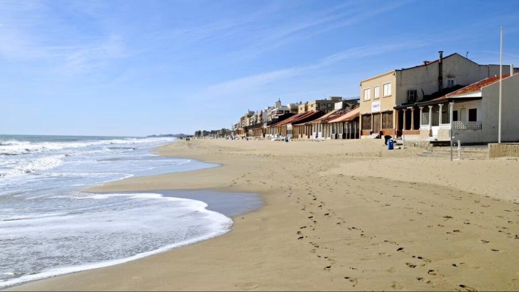 珍しい有毒のウミウシ「ブルードラゴン」、スペイン観光地で発見　海水浴場が一時閉鎖に - CNN.co.jp