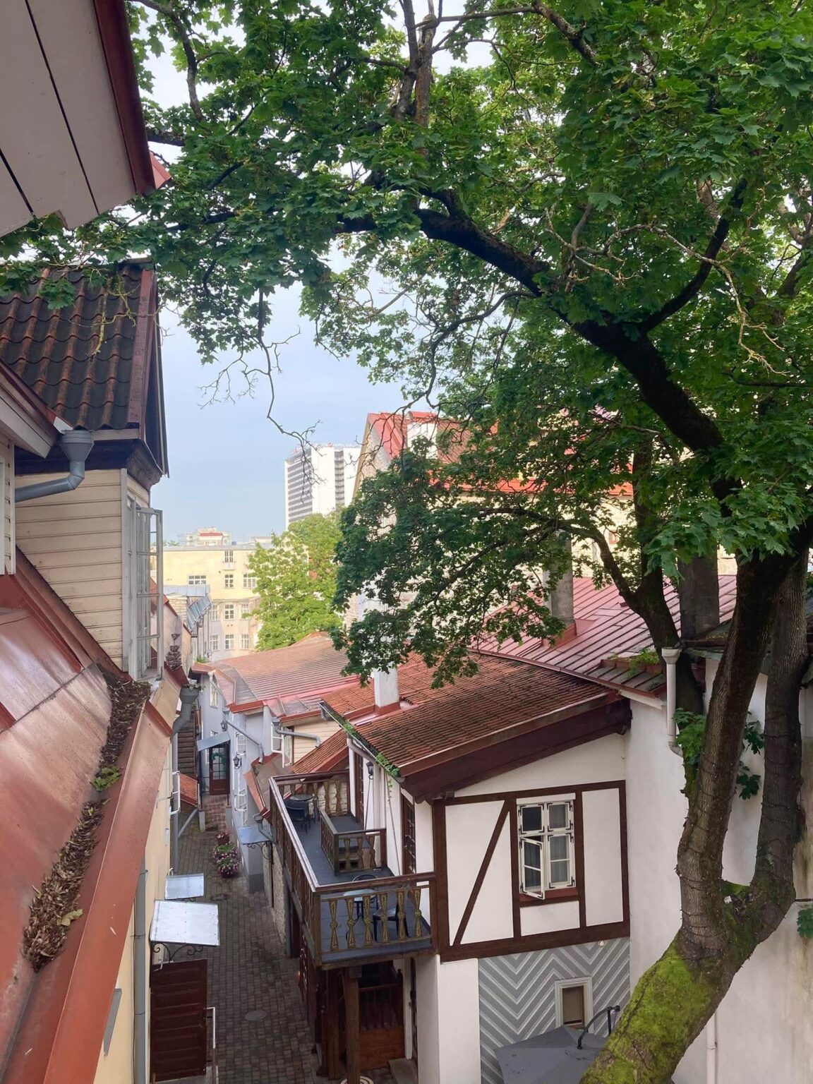 タリンの路地を見下ろしています
