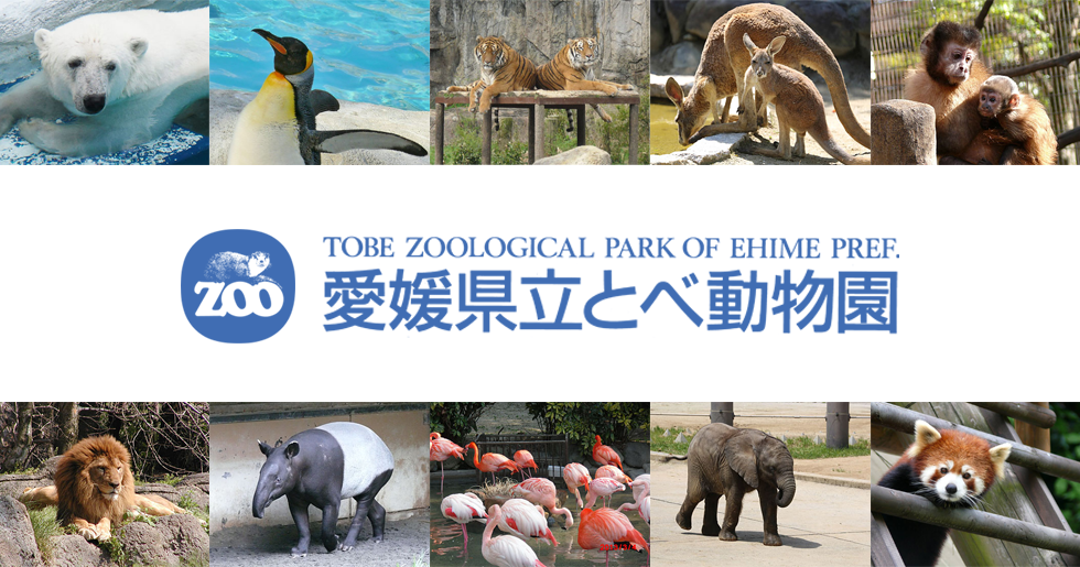 愛媛県総合運動公園内の通行規制他について｜協会からのお知らせ｜公益財団法人 愛媛県動物園協会