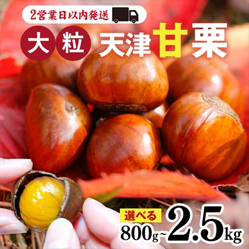 兵庫県のふるさと納税額、過去最高の11億円の受入を実現