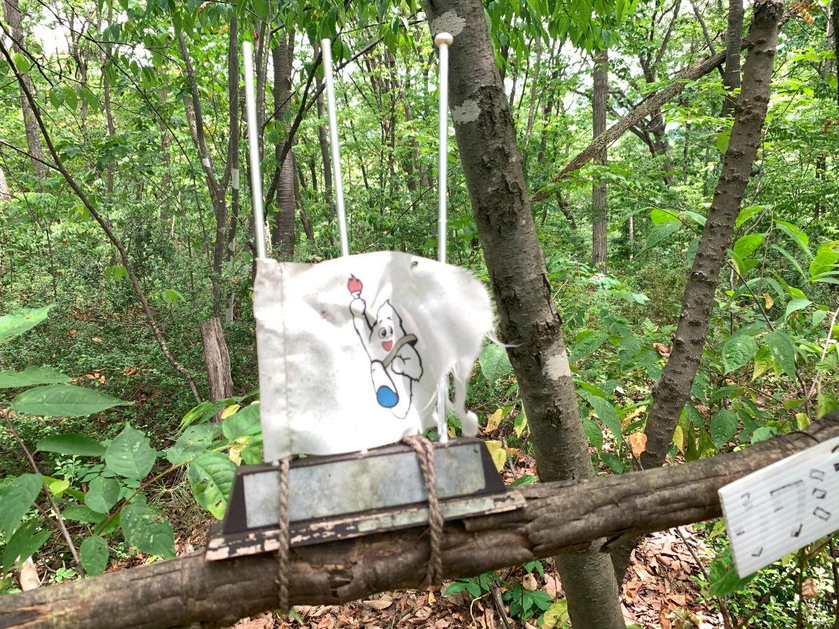 「ぼくのたいき君」 その10・漕げよ！ たいき君 ～　の巻