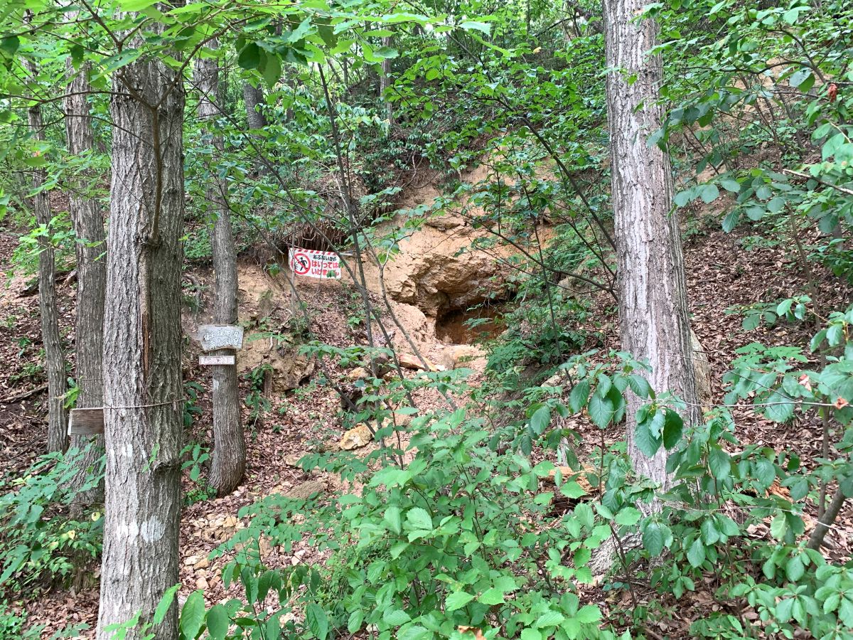 「ぼくのたいき君」 その10・漕げよ！ たいき君 ～　の巻