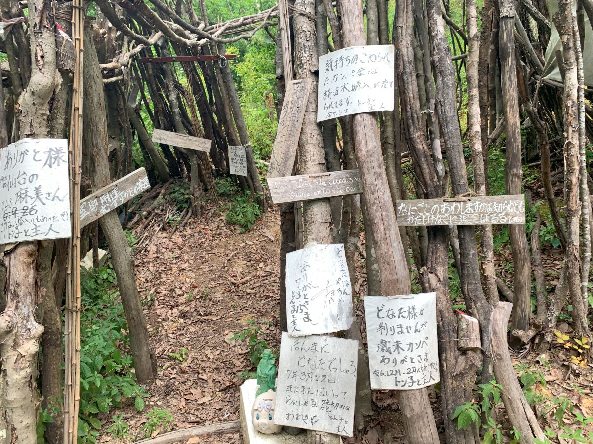 「ぼくのたいき君」 その10・漕げよ！ たいき君 ～　の巻