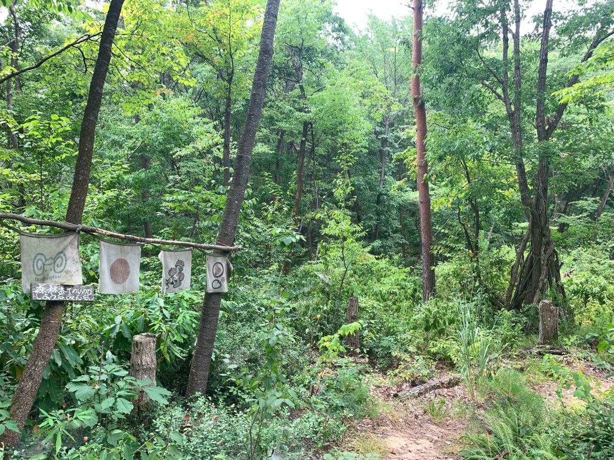 「ぼくのたいき君」 その10・漕げよ！ たいき君 ～　の巻