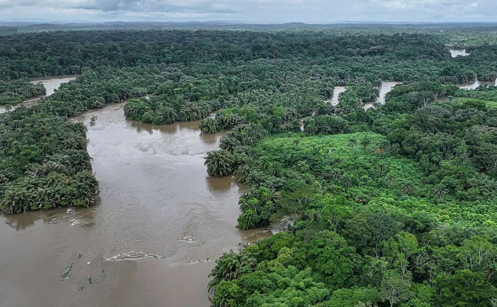 新たな世界遺産26件が発表。カメルーンの遺跡やシエラレオネの熱帯雨林などアフリカにスポットライト | ARTnews JAPAN（アートニュースジャパン）