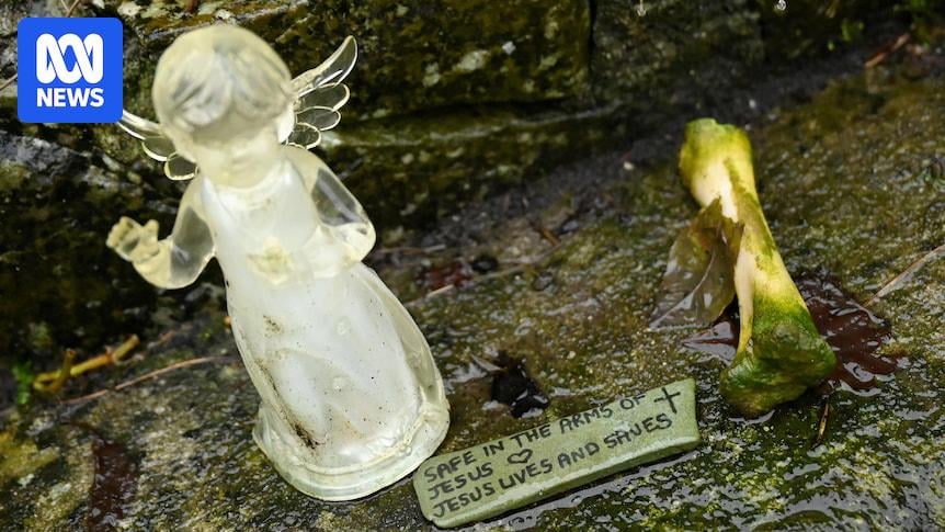 カトリック運営の家で発見されてから数十年後にアイルランドで発掘されている大規模な赤ちゃんの墓