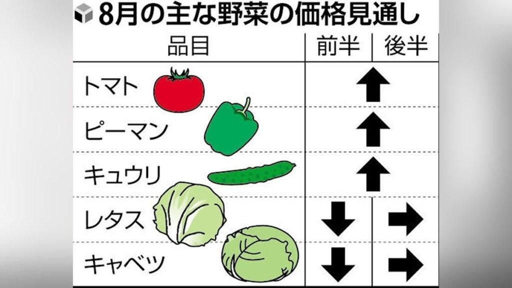 トマトやピーマン、８月は平年より２割高…猛暑の影響で生育不良