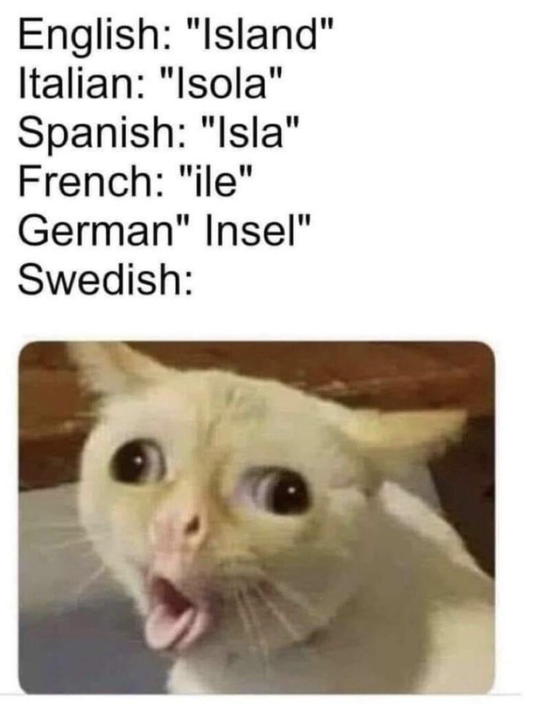Ö