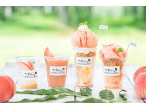 【福島県福島市・桑折町】桃のまち福島の魅力を発信「ふくしまピーチホリデイ」通年キャンペーンとしてスタート - STRAIGHT PRESS