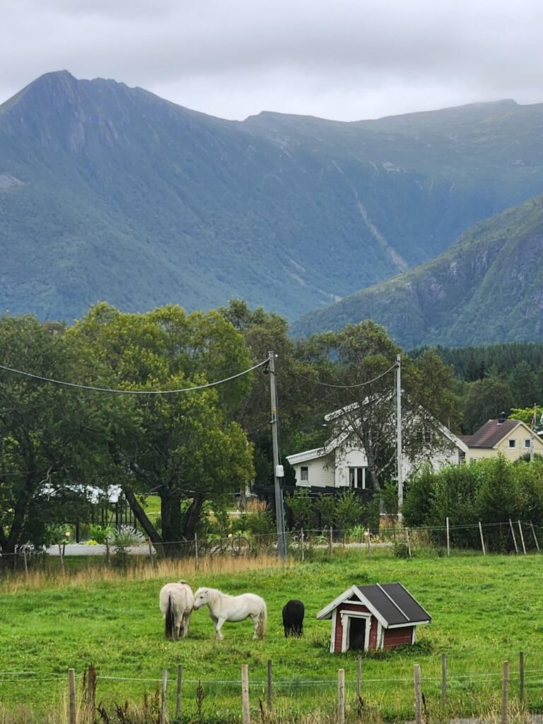 ノルウェー、あなたは私が想像したすべてでした。