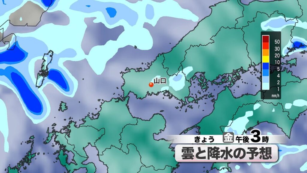 共有