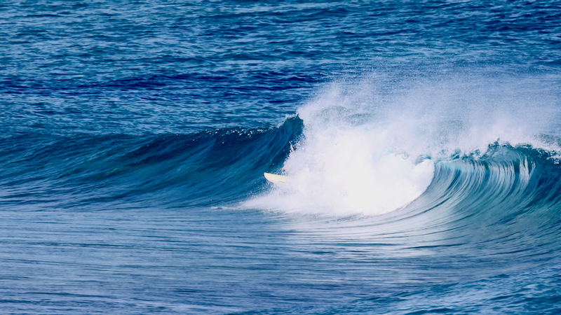 スクリーンショット 2025-09-28 7.33.25