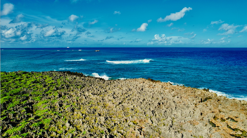 スクリーンショット 2025-09-28 7.09.35