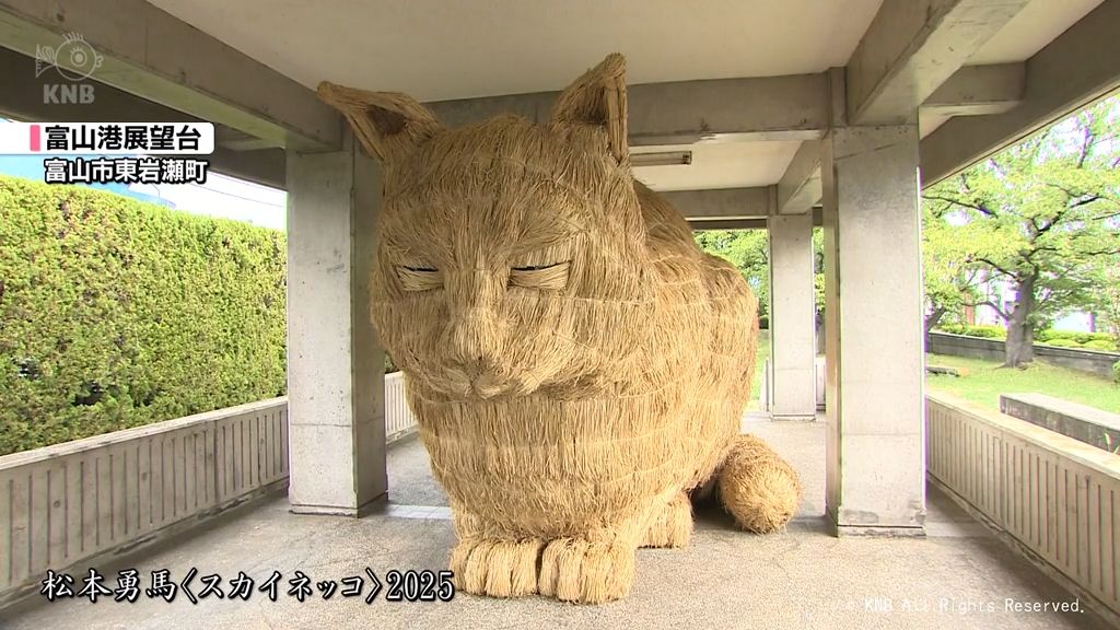 共有