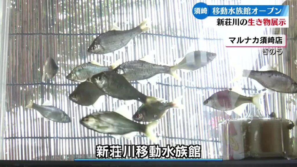 共有