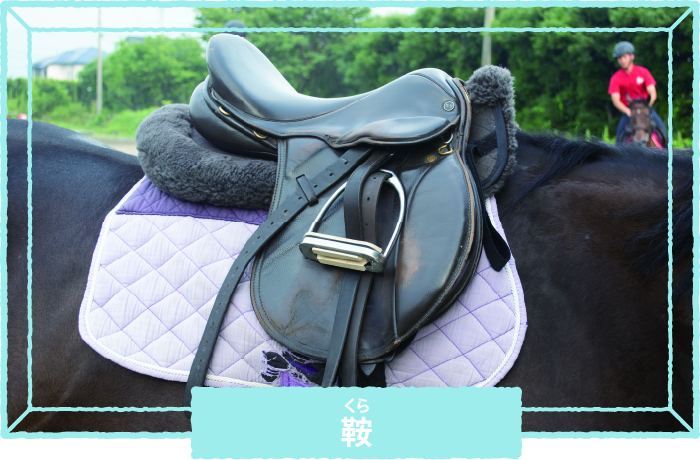 熊本県立翔陽高等学校 馬術部 「自分で馬を調教し練習して、その成果を見せられるところが面白い」【Spotlight VOL.66 】