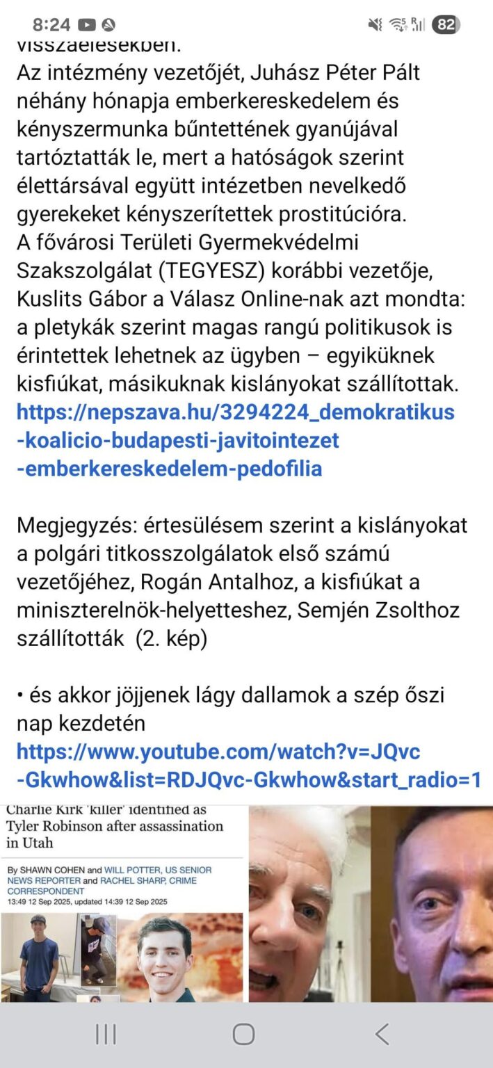 CsabaKáncz：私の情報によれば、小さな女の子はZsoltSemjénに小さな男の子であるAntalRogánに運ばれました