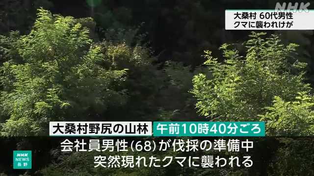長野 大桑村 山林で６０代男性 クマに襲われ大けが