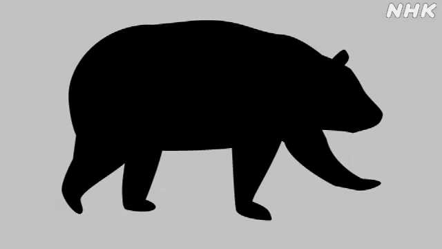 長野 飯田 登山の男性 林道でクマに襲われリュックに爪の傷