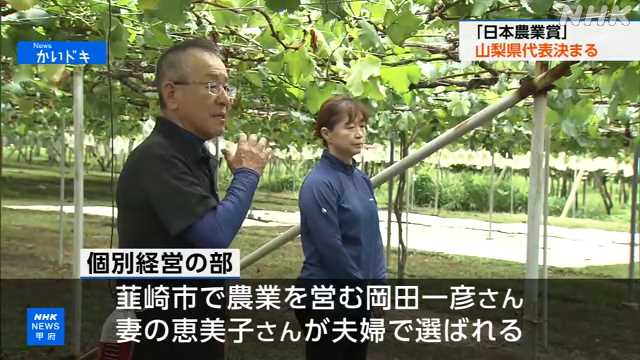 日本農業賞 山梨県代表にぶどう栽培農家と柿生産者の委員会｜NHK 山梨県のニュース