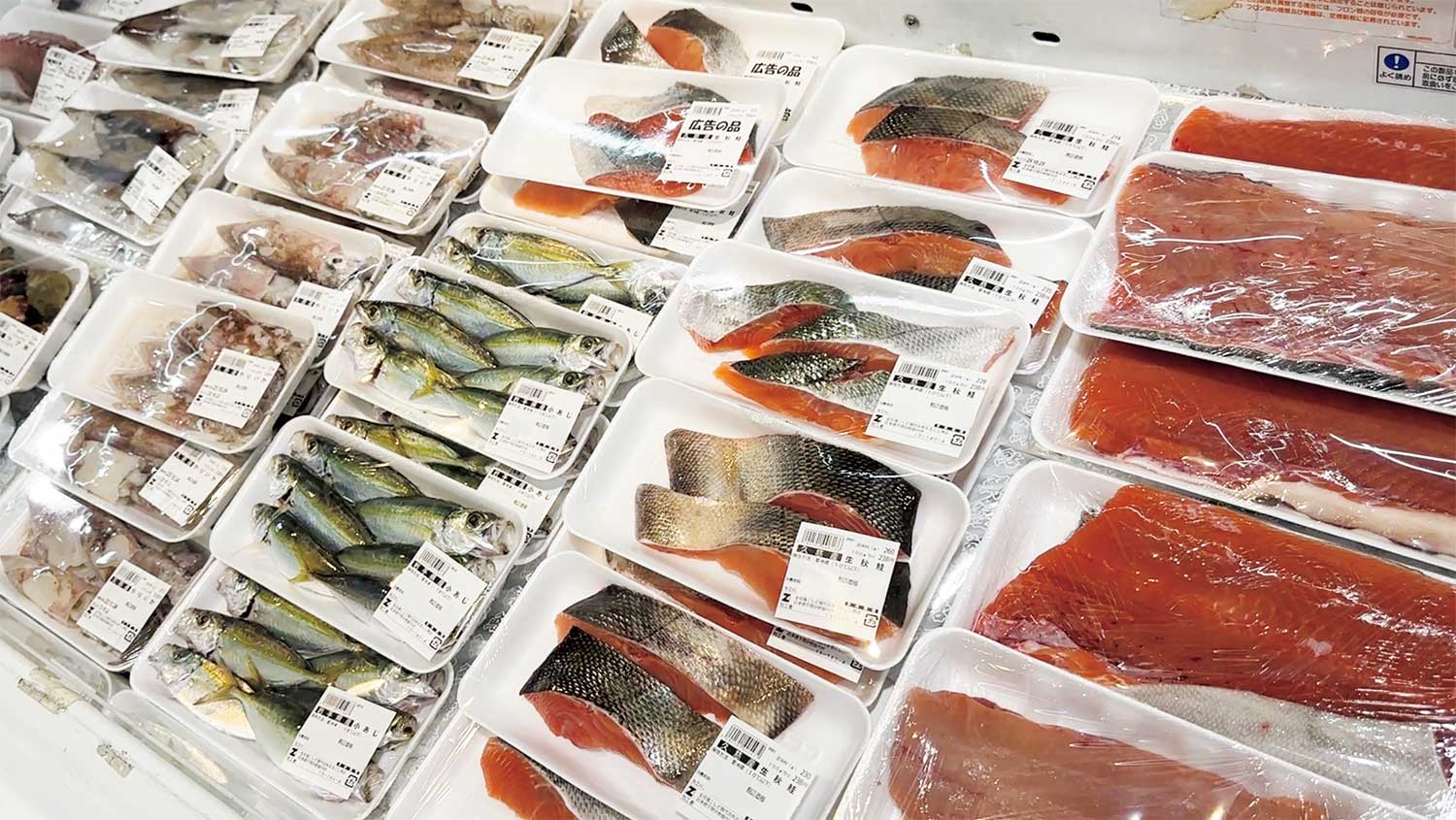 三陸の海で水揚げされる季節の魚が豊富。秋は地元民が心待ちにする秋鮭がおすすめ。