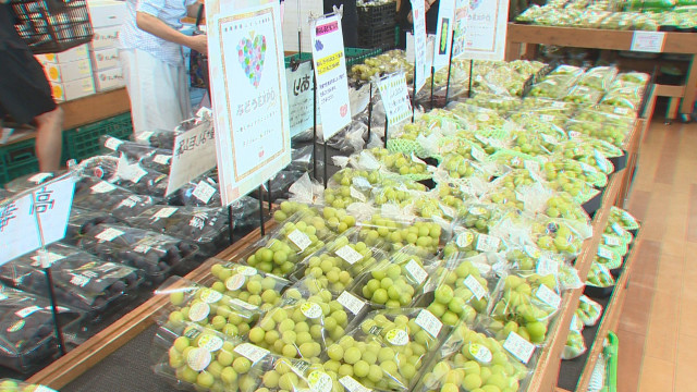約30品種！新潟県産ブドウの万博『ブドウEXPO』開催中 今年は猛暑・大雨の影響受けるも味には自信「出会ったブドウ楽しんで」