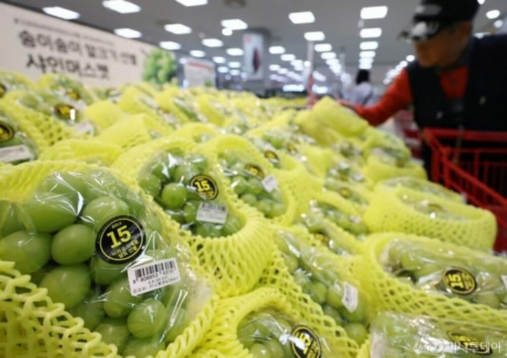 “葡萄界のエルメス”シャインマスカットが韓国で暴落…5年で暴落の衝撃　写真枚　国際ニュース：AFPBB News