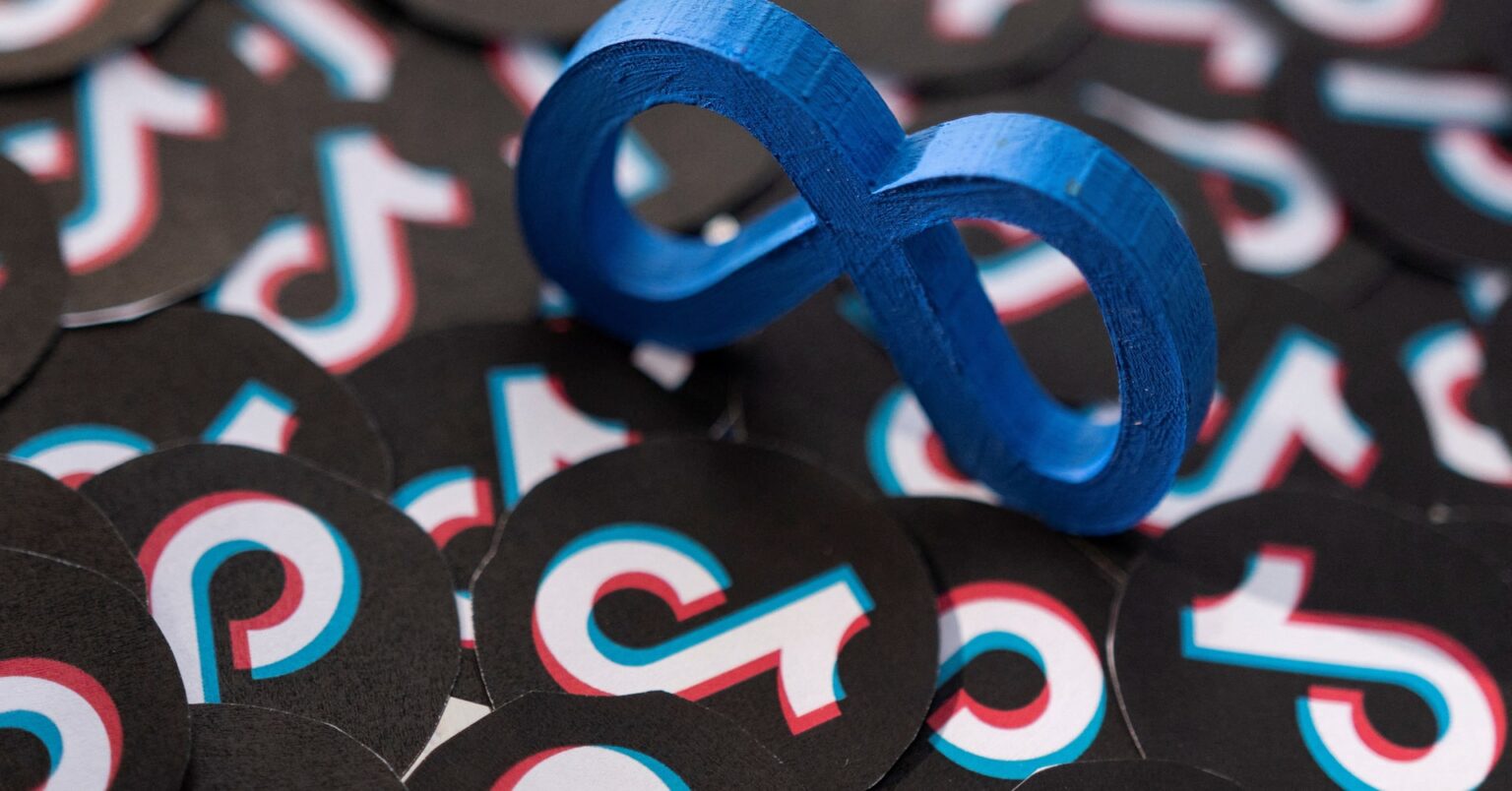 メタとＴｉｋＴｏｋ、ＥＵの法順守監督手数料巡る裁判で勝訴 | ロイター