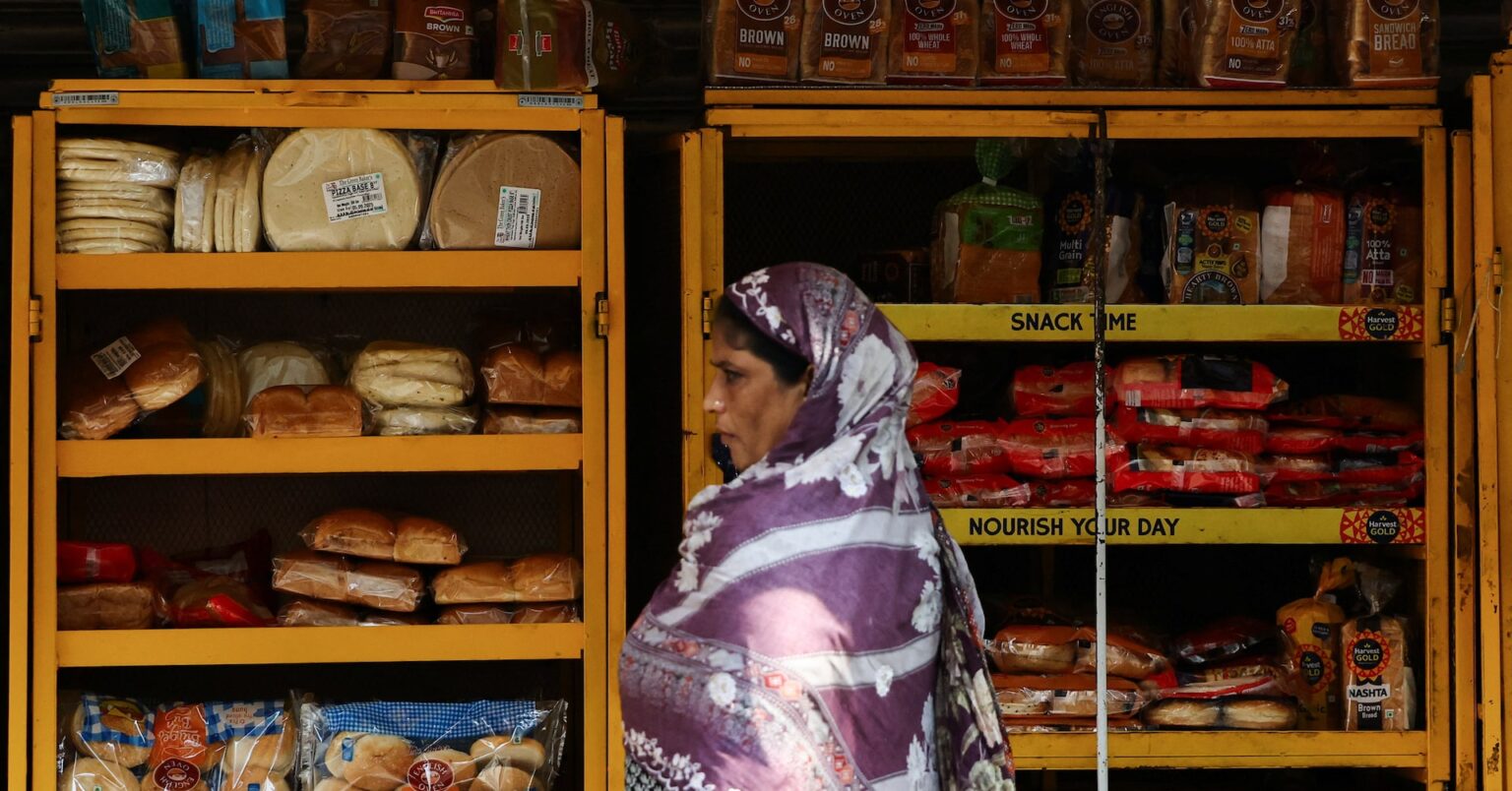 インド税制改革、米関税の影響を一部相殺へ＝首席経済顧問 | ロイター