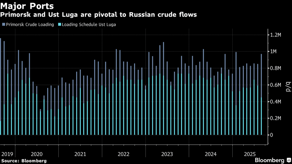 ロシアのバルト海主要石油輸出港が稼働停止、ウクライナが無人機攻撃 - Bloomberg