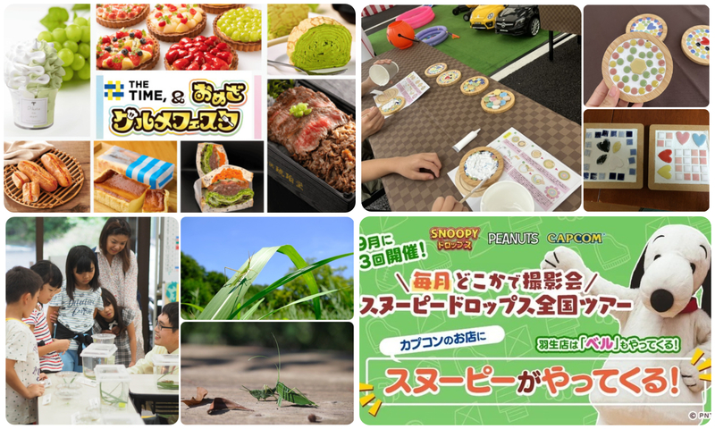 【埼玉】2025年9月13日・14日・15日の三連休に無料で楽しめるイベント8選 – いこーよニュース 自然に親しむイベントデー「バッタの日」