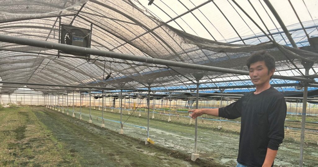 熊本大雨で被害拡大させた「内水氾濫」 対策進まぬ現状が浮き彫りに - 毎日新聞