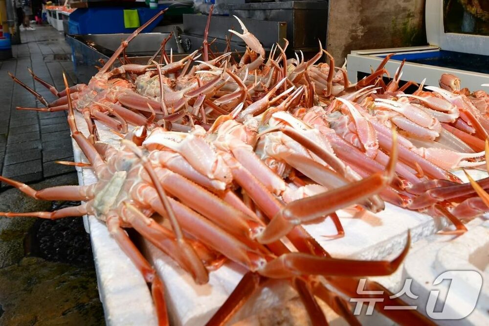 ズワイガニ24万ウォン→36万ウォン“水増し請求”…韓国の観光地でまた「ぼったくり」　写真枚　国際ニュース：AFPBB News