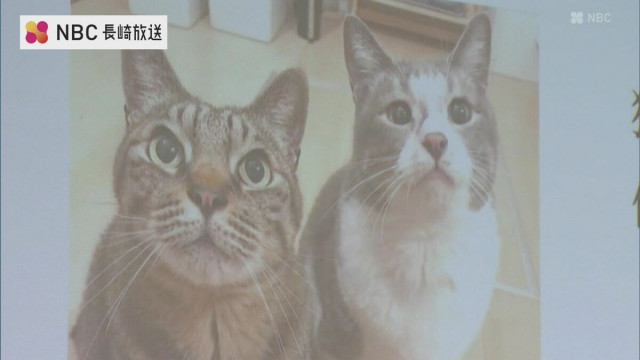 猫の殺処分数 全国ワーストクラスだった長崎市 「猫の命を守るためにできること」テーマに講演会