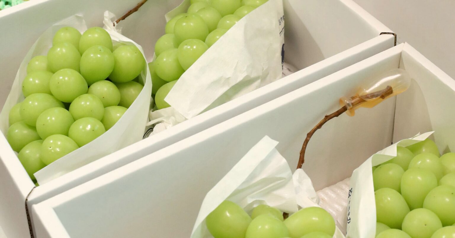 シャインマスカット栽培権、農水省がＮＺへ供与検討　小泉氏に山梨県抗議 | ロイター