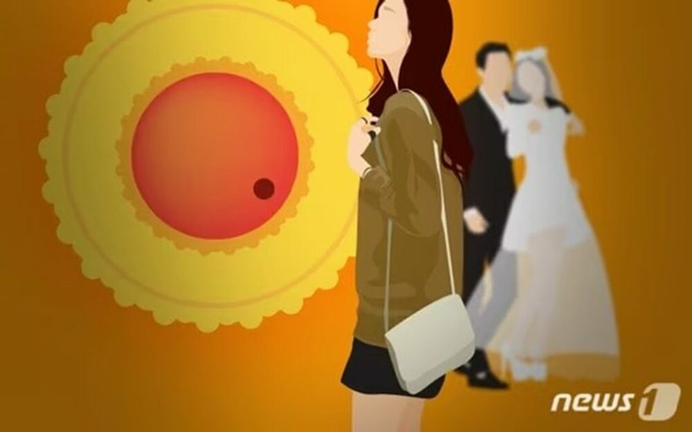 「卵子凍結しなさい」婚約者の母が“提案”…韓国・30代女性、結婚前に突きつけられた“条件”　写真枚　国際ニュース：AFPBB News