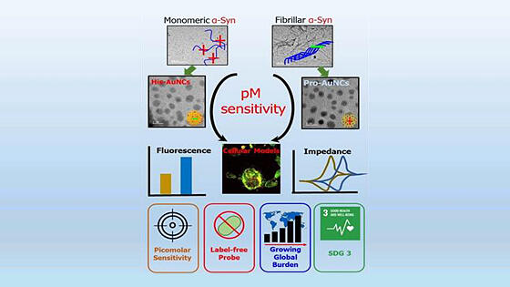 金ナノクラスターでパーキンソン病早期検出する新技術を開発 インド|インド科学技術ニュース|Science Portal India インドの科学技術の今を伝える