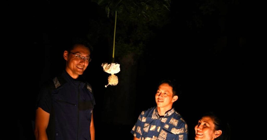 ふんわり白い花 アフリカバオバブが開花 海洋博の熱帯ドリームセンター 本部町 沖縄 – 琉球新報デジタル ふんわり白い花 アフリカバオバブが開花 海洋博の熱帯ドリームセンター 本部町 沖縄 - 琉球新報デジタル