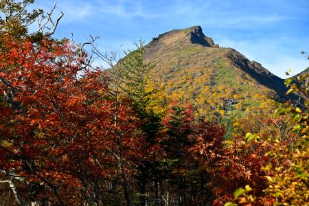 北海道・黒岳で紅葉が見頃迎える 鮮やかな景色に登山客は歓声 | 全国のニュース | 福井新聞ONLINE