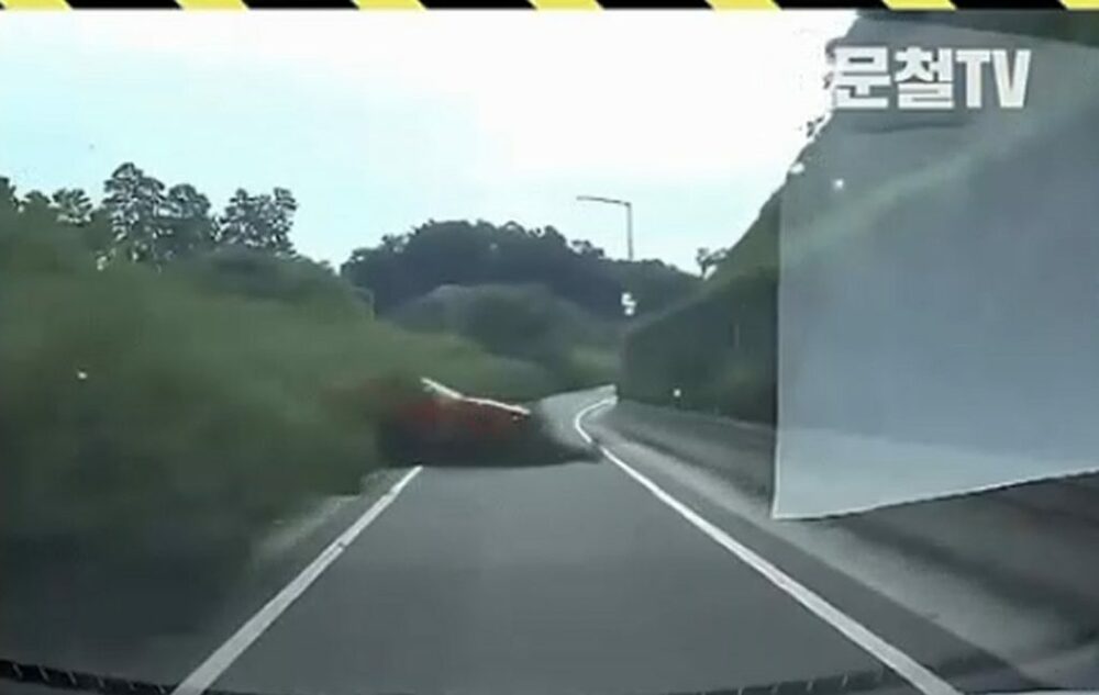 鹿か？草むらから飛び出す赤い悪夢…韓国「朝の酒気残り」車が暴走の衝撃映像　写真枚　国際ニュース：AFPBB News