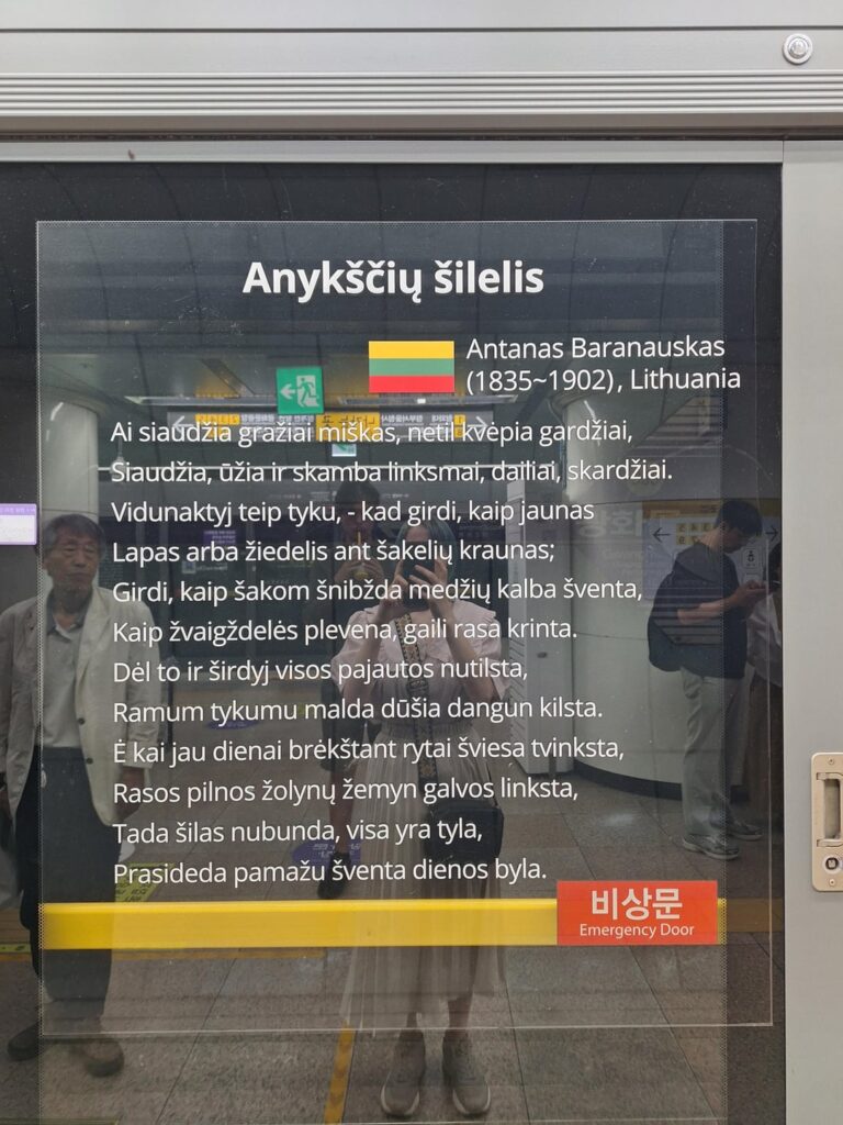 韓国でこのようなものを見つけました（ソウル）