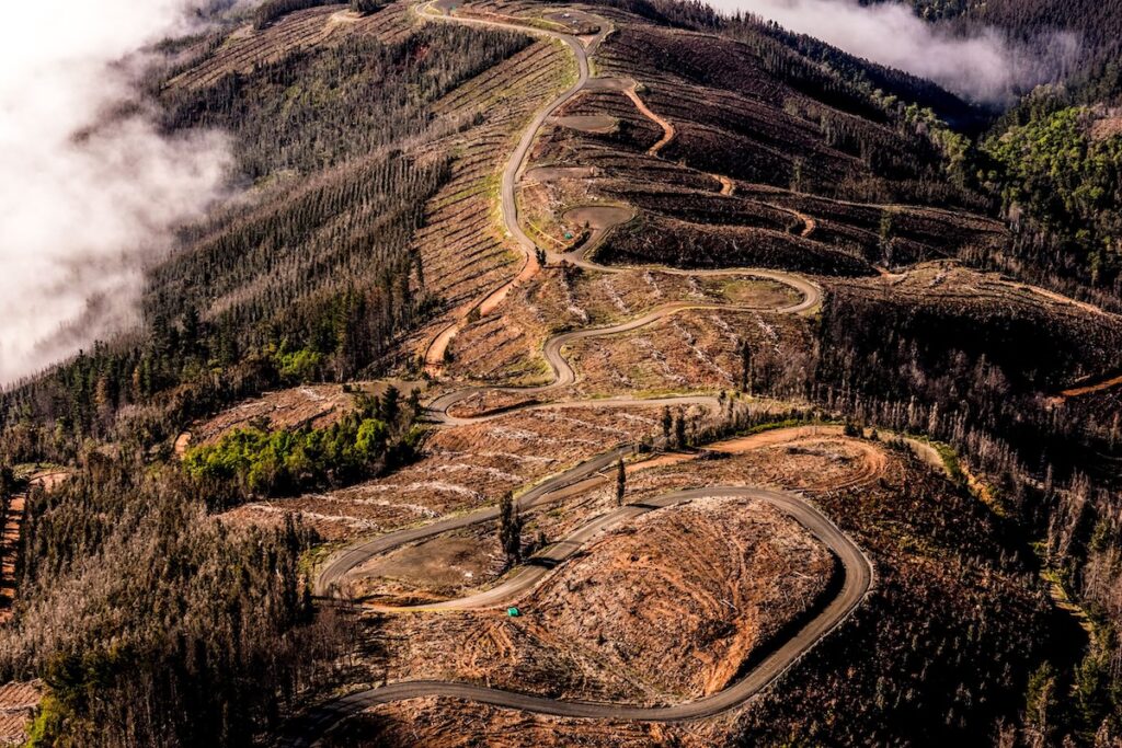 WRCチリ：Mスポーツ・フォードから3台のフォード・プーマ・ラリー1がエントリー – RALLYPLUS.NET ラリープラス