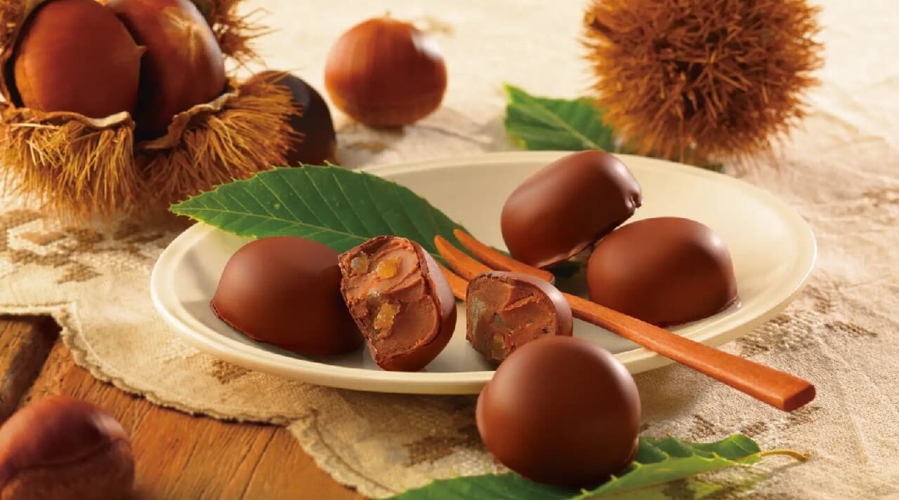 イタリア産栗のショコラ