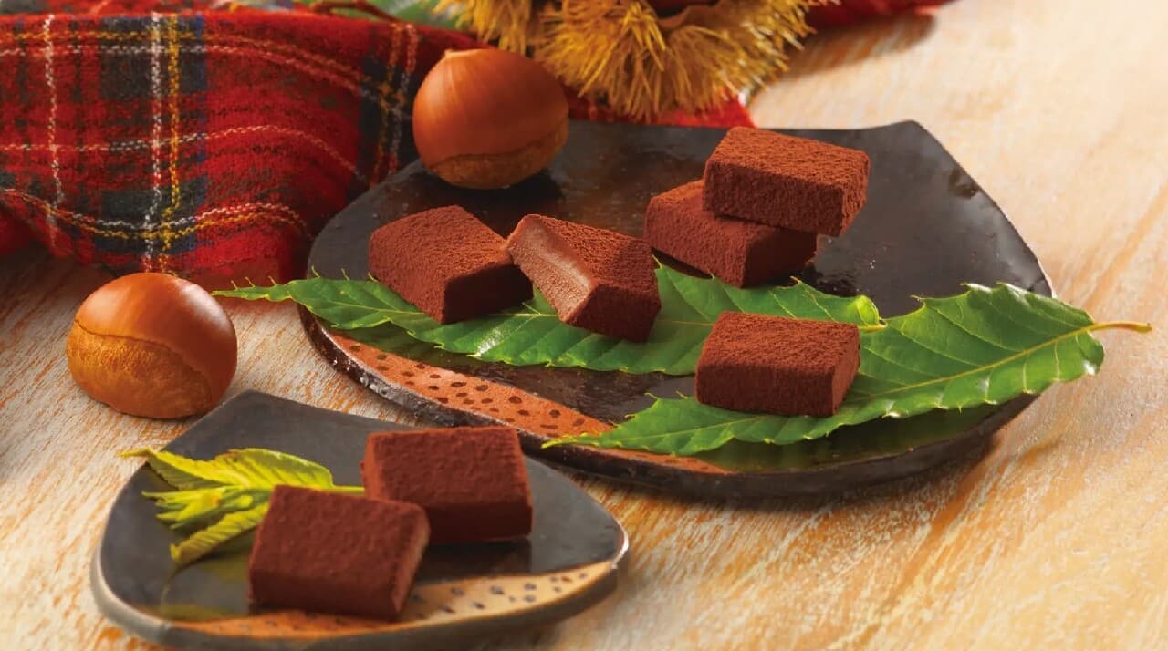 生チョコレート[栗]