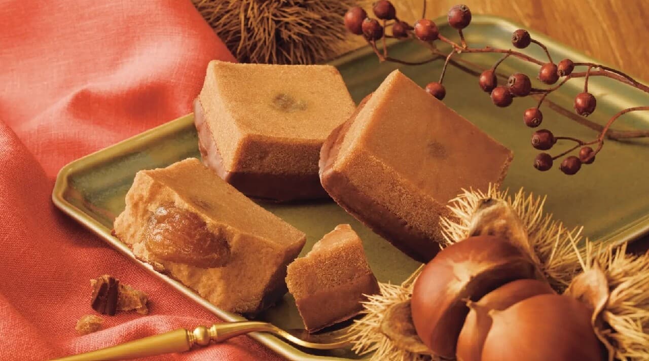 栗のテリーヌショコラ