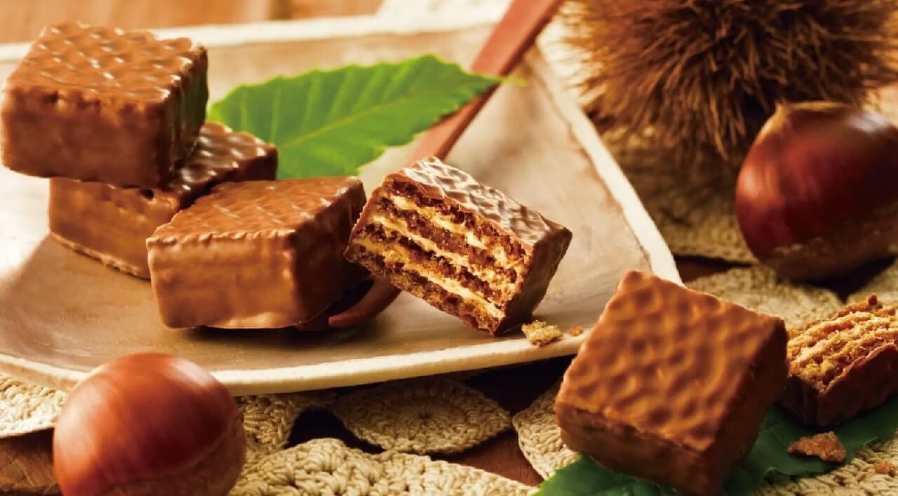 チョコレートウエハース[モンブランクリーム]