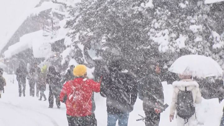 愛知県の平地でも積雪か…岐阜県では10日にかけて大雪のおそれ 8日午後6時時点の積雪は白川村で130cm | 東海テレビNEWS