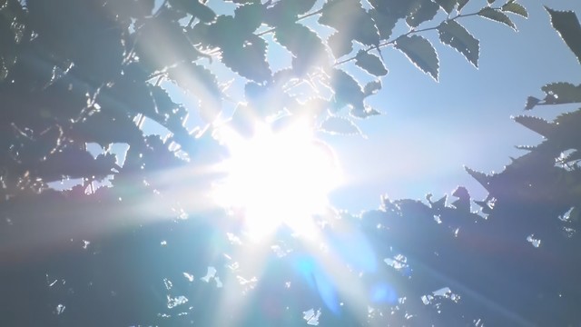 9月なのに猛暑日予想 最高気温は長野・松本36度 飯田35度予想 北部と中部昼過ぎから夜のはじめごろにかけ雷雨のところも 天気急変に注意を（テレビ信州） - Yahoo!ニュース - Yahoo!ニュース