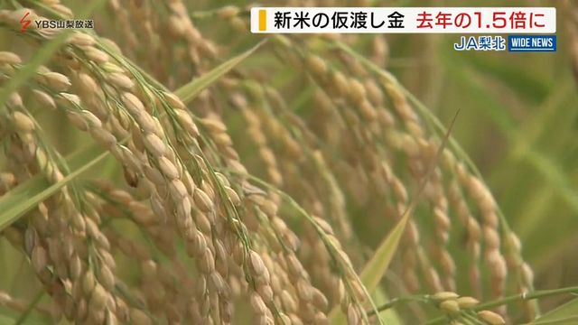 新米の仮渡し金 去年の1.5倍に大幅増額 生産コストの上昇などが背景か 山梨（YBS山梨放送） - Yahoo!ニュース