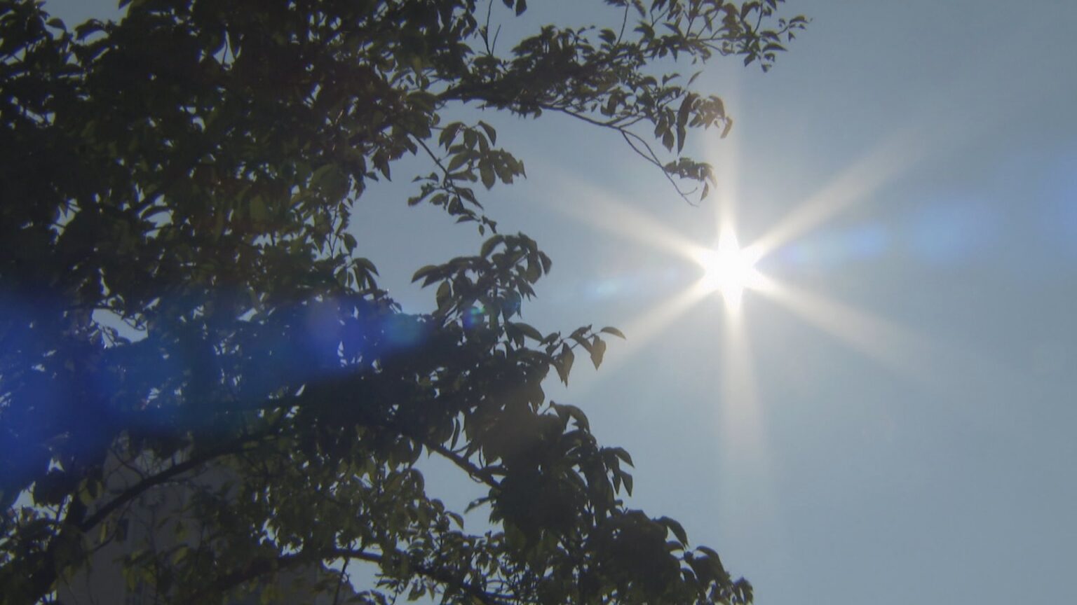 高岡市伏木が全国1位暑さ、37.0℃観測 最高気温は富山・伏木で38℃予想、9月としては観測史上記録的な暑さに 富山（チューリップテレビ） - Yahoo!ニュース - Yahoo!ニュース